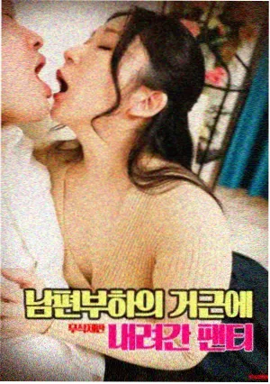 万历之后历史电子书资料包